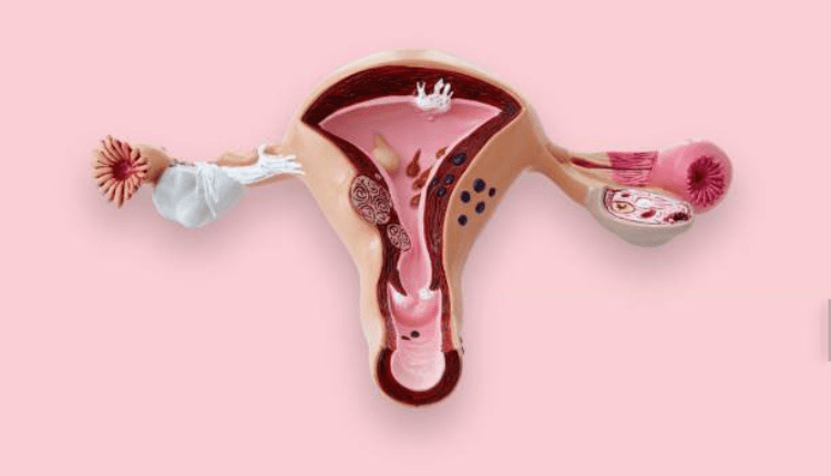 أسباب ارتفاع هرمون البروجستيرون High progesterone