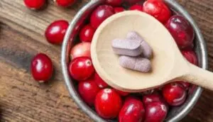 طبق به نبات التوت البري وحبوب كرانبري ضمن فائدة حبوب الكرانبري للالتهابات