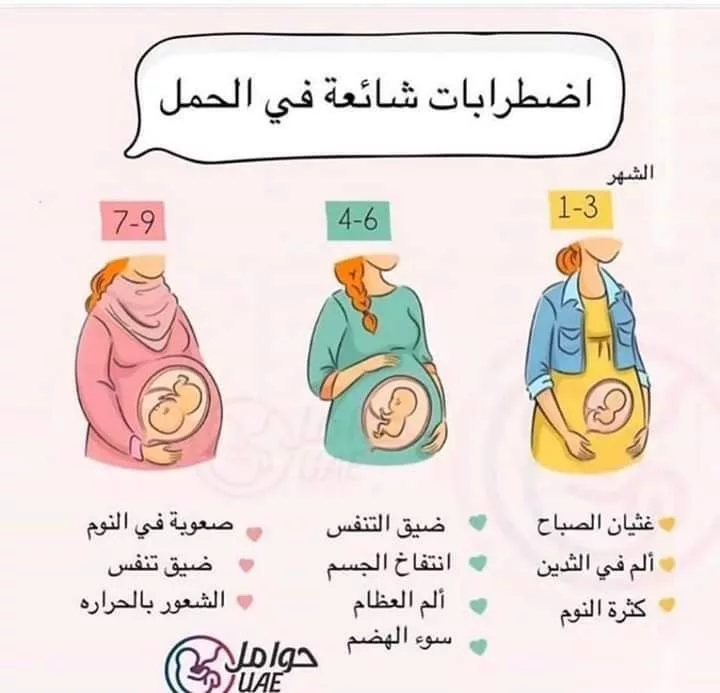 pregnancy-calculation