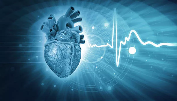 متى تكون دقات القلب خطيرة؟ .. أسباب ضربات القلب السريعة بدون مجهود