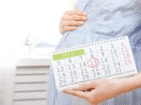 حساب الحمل والولادة