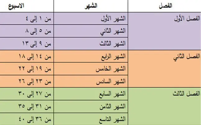 الحمل بالأسابيع