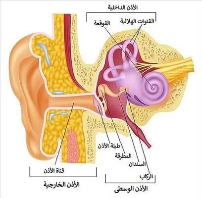 التهاب الأذن الوسطى والدوخة