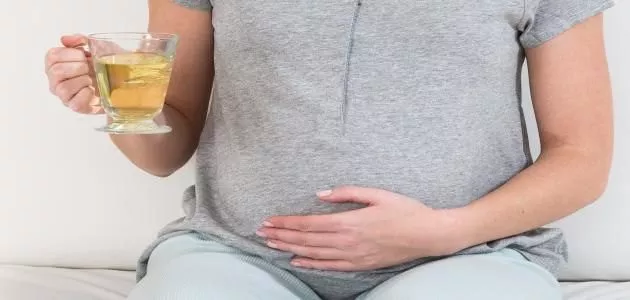 علاج حرقة المعدة للحامل بالاعشاب