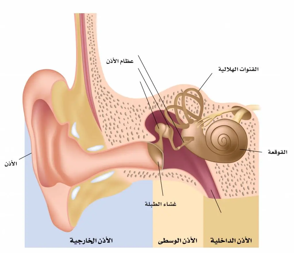 ما هو التهاب الأذن؟