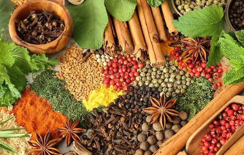 علاج الحساسية الصدرية والكحة بالأعشاب في المنزل