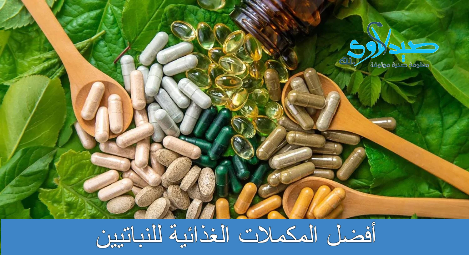 أفضل المكملات الغذائية للنباتيين