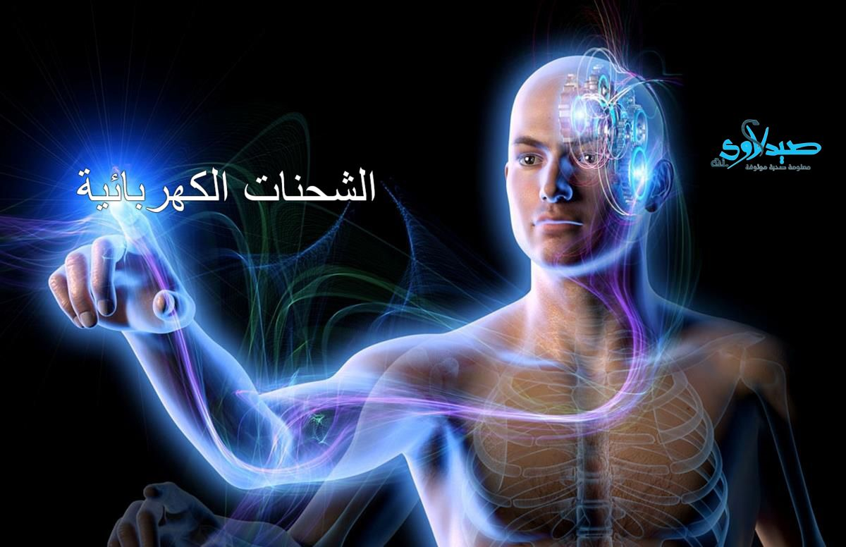 الشحنات الكهربائية