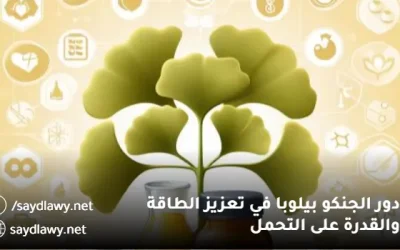 دور الجنكو بيلوبا في تعزيز الطاقة والقدرة على التحمل